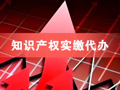 辛集知识产权实缴资本代办